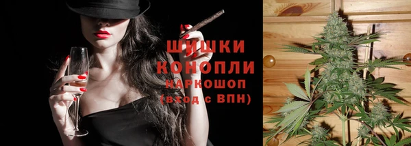 хмурый Гусь-Хрустальный