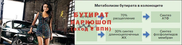 хмурый Гусь-Хрустальный