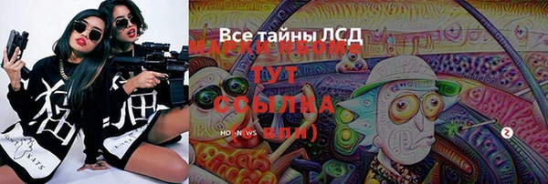 apvp Вяземский