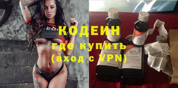 хмурый Гусь-Хрустальный